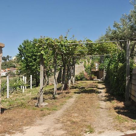 Quinta Do Vale Sanguinho Villa Seia Kültér fotó