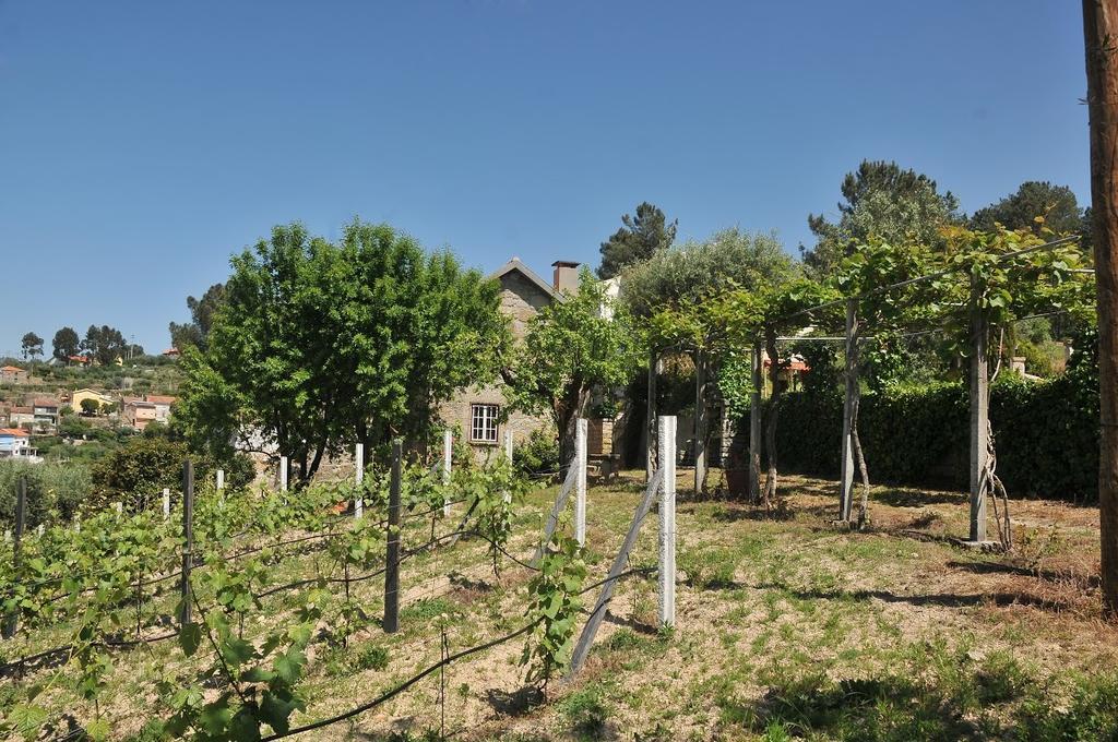 Quinta Do Vale Sanguinho Villa Seia Kültér fotó